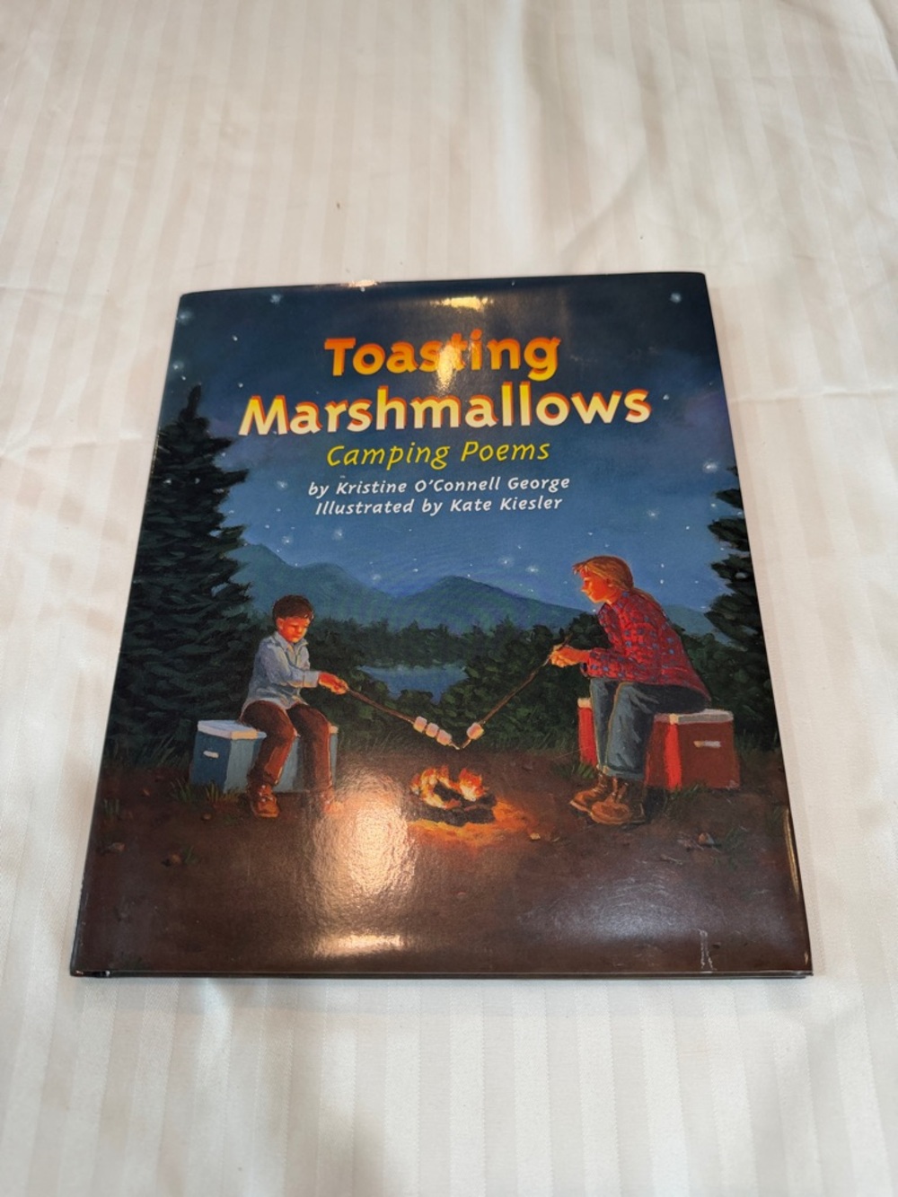 Toasting Marshmallows Camping Poems - Blue Cover